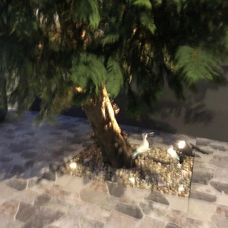 فيلا Casa De Vivian And Michael Sao Pedro  المظهر الخارجي الصورة