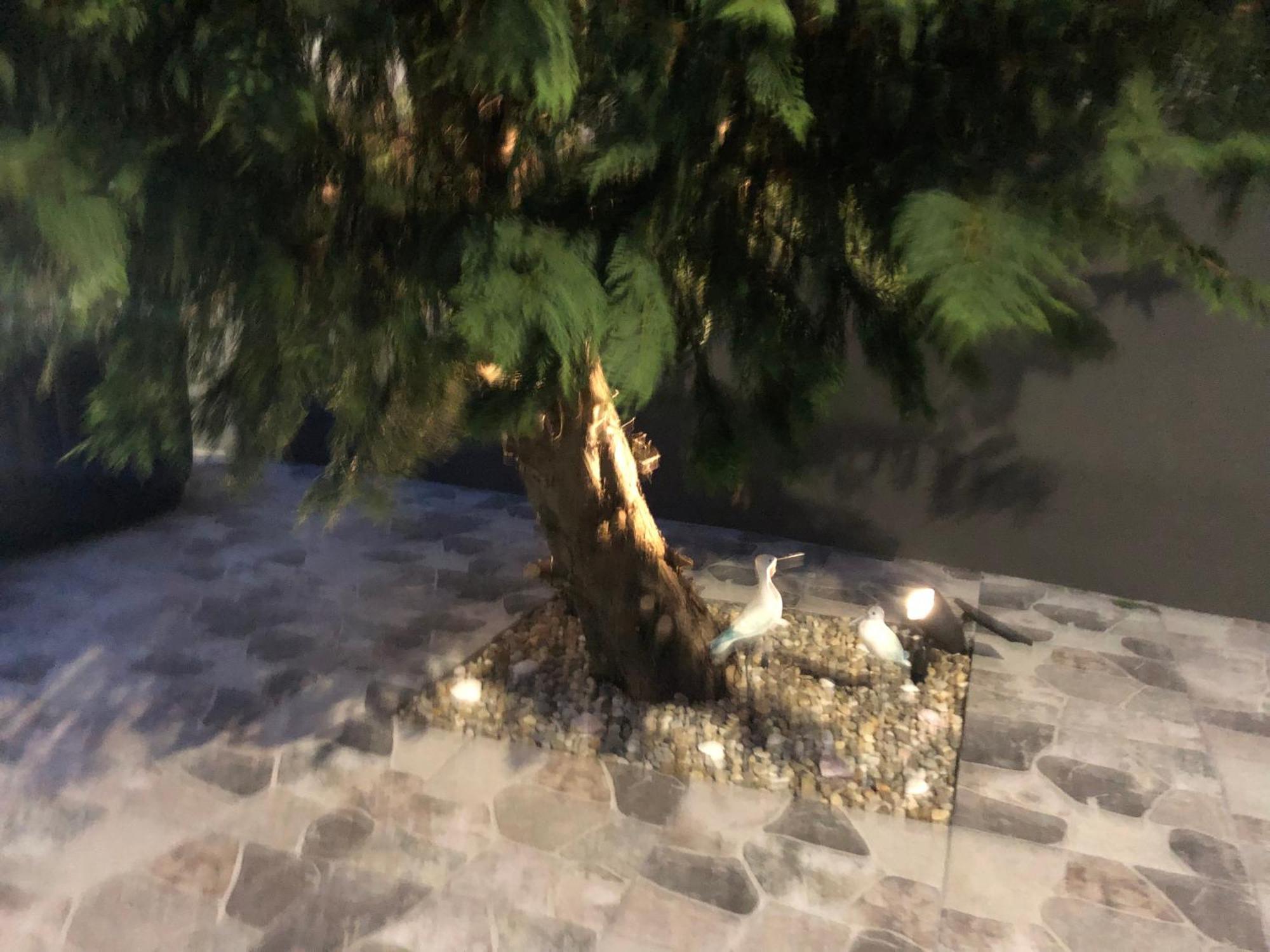 فيلا Casa De Vivian And Michael Sao Pedro  المظهر الخارجي الصورة